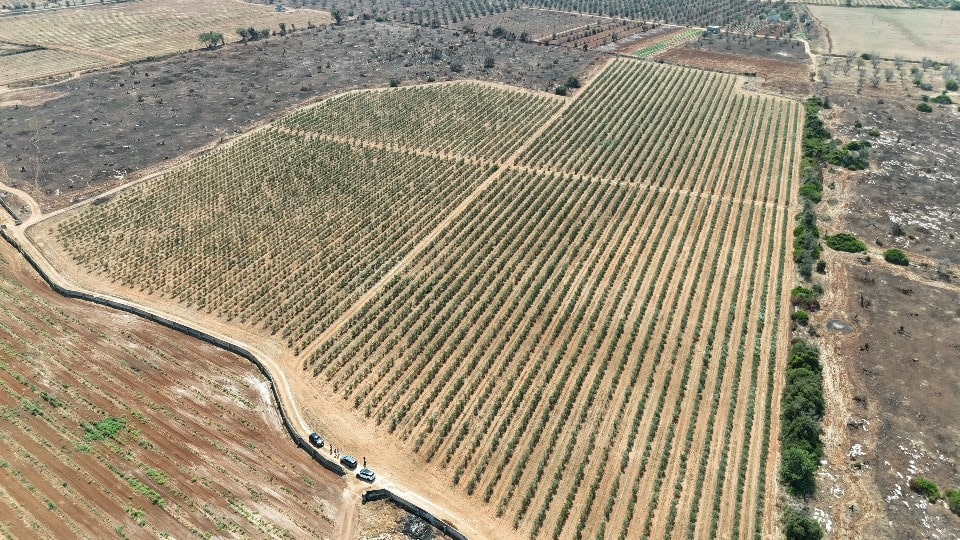 Giano Group Immobiliare